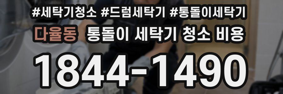 다율동 통돌이 세탁기 청소 비용