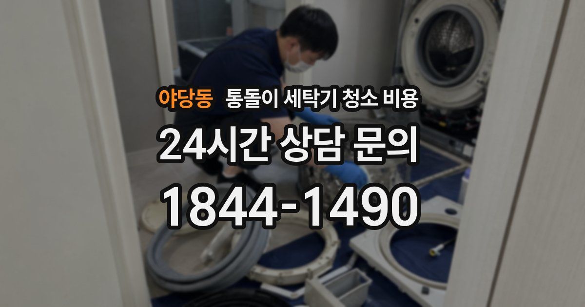 야당동 통돌이 세탁기 청소 비용