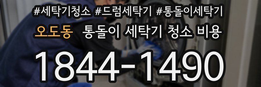 오도동 통돌이 세탁기 청소 비용