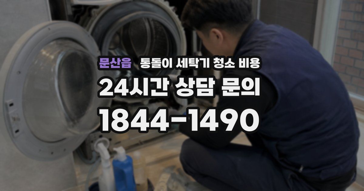 문산읍 통돌이 세탁기 청소 비용