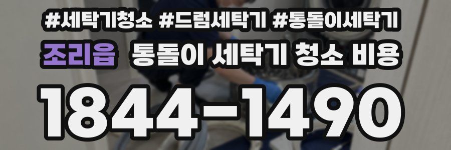 조리읍 통돌이 세탁기 청소 비용