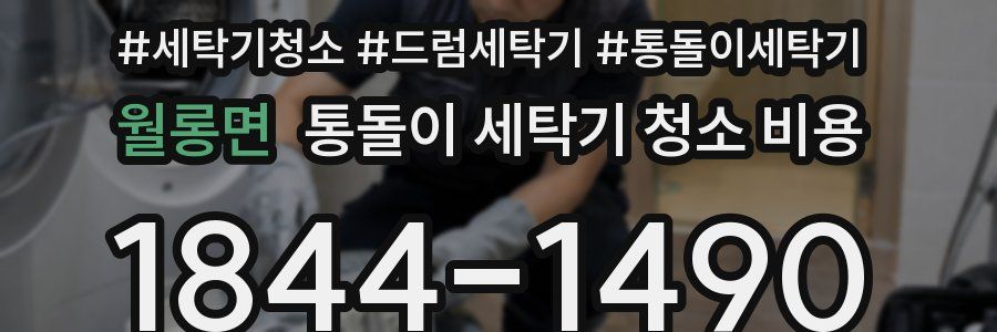월롱면 통돌이 세탁기 청소 비용