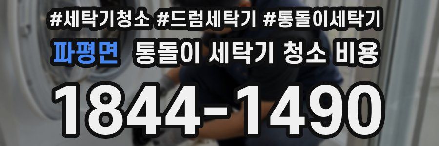 파평면 통돌이 세탁기 청소 비용
