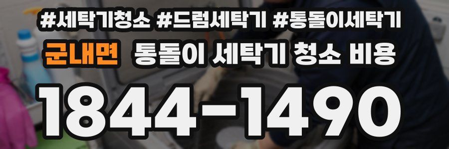 군내면 통돌이 세탁기 청소 비용