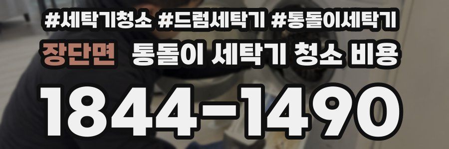 장단면 통돌이 세탁기 청소 비용
