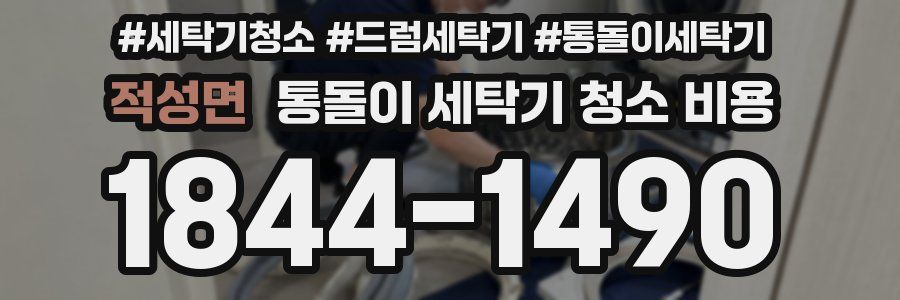 적성면 통돌이 세탁기 청소 비용