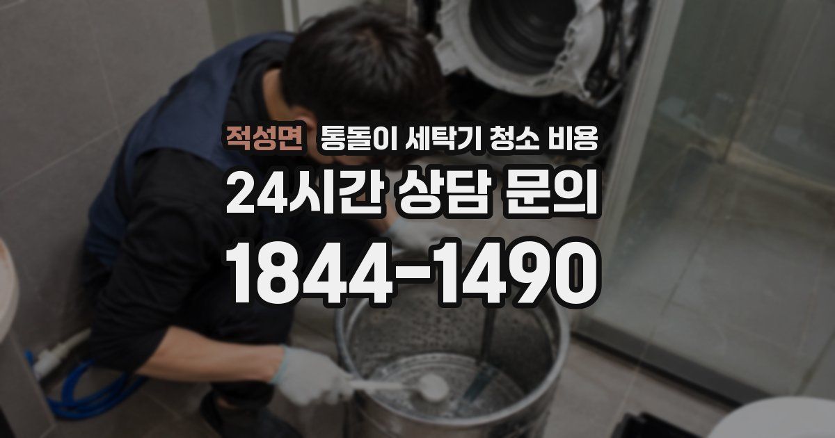 적성면 통돌이 세탁기 청소 비용