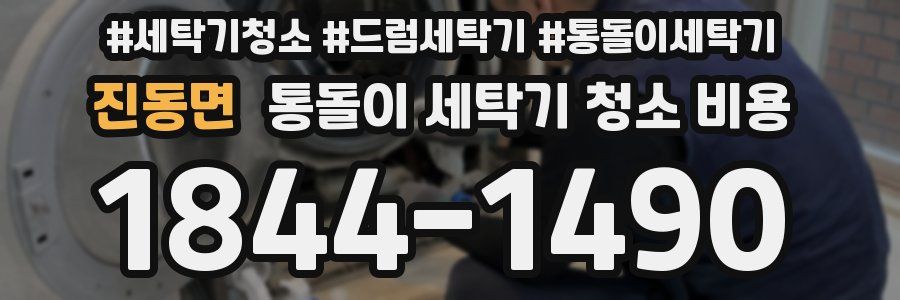 진동면 통돌이 세탁기 청소 비용