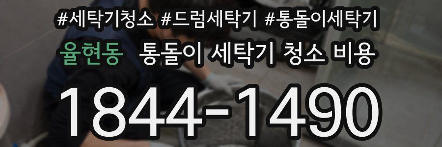 율현동 통돌이 세탁기 청소 비용