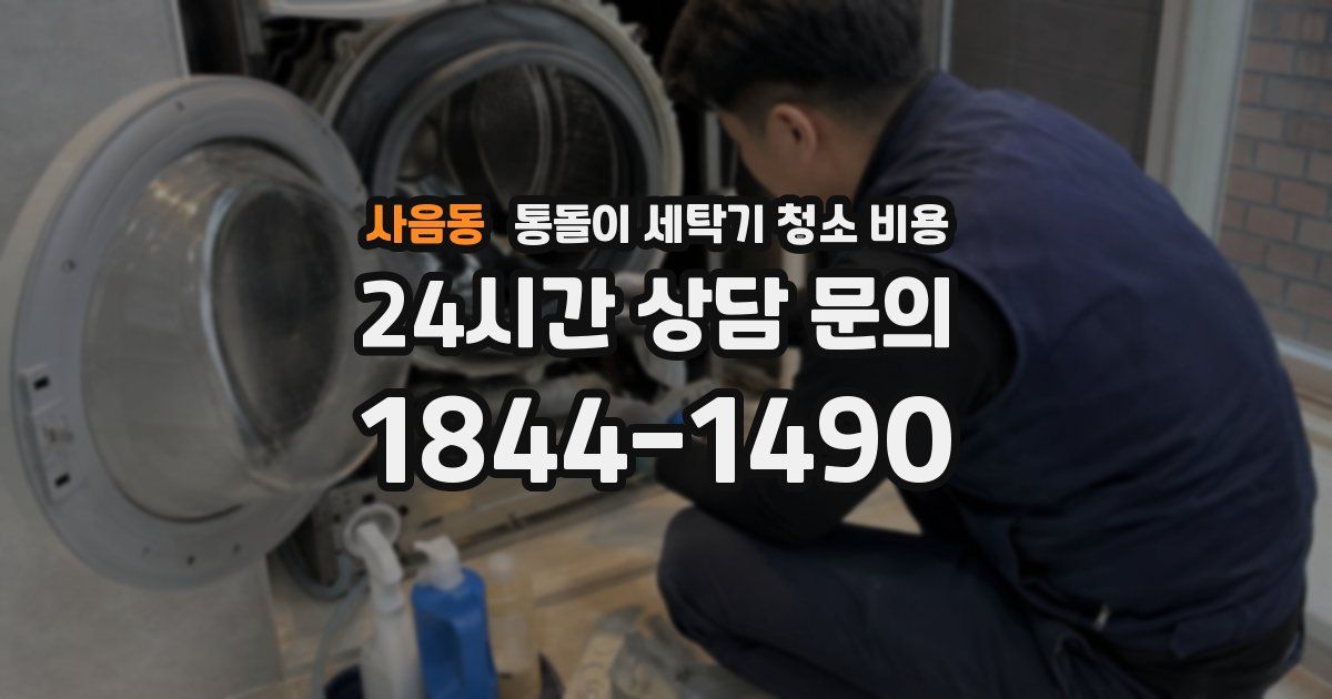 사음동 통돌이 세탁기 청소 비용