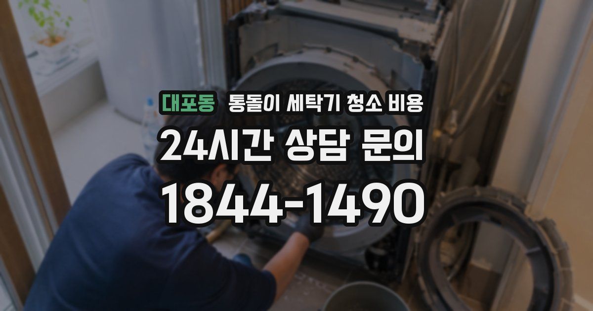 대포동 통돌이 세탁기 청소 비용