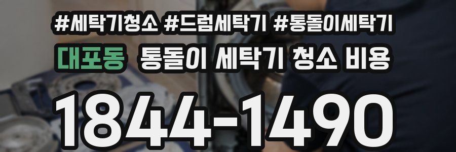 대포동 통돌이 세탁기 청소 비용