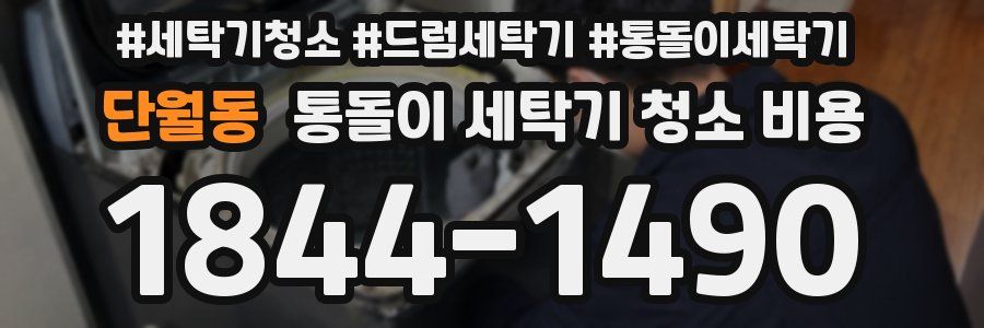 단월동 통돌이 세탁기 청소 비용