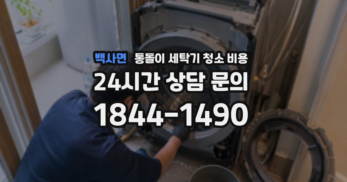 백사면 통돌이 세탁기 청소 비용