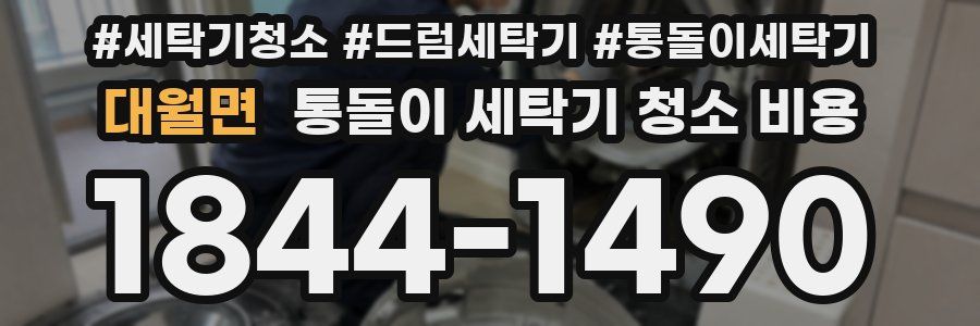 대월면 통돌이 세탁기 청소 비용