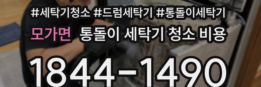 모가면 통돌이 세탁기 청소 비용