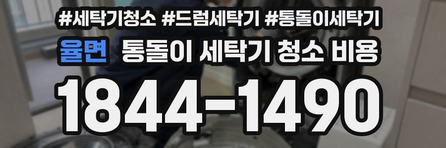 율면 통돌이 세탁기 청소 비용