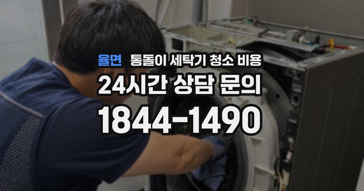 율면 통돌이 세탁기 청소 비용