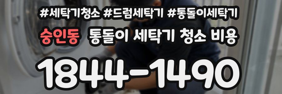 숭인동 통돌이 세탁기 청소 비용