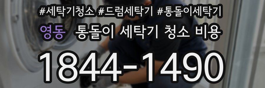 영동 통돌이 세탁기 청소 비용