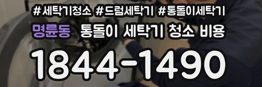명륜동 통돌이 세탁기 청소 비용
