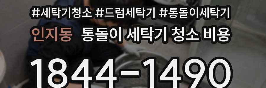 인지동 통돌이 세탁기 청소 비용