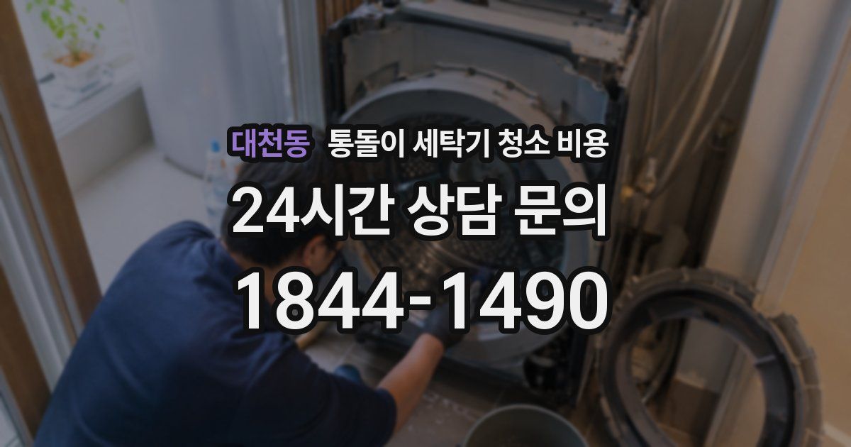 대천동 통돌이 세탁기 청소 비용