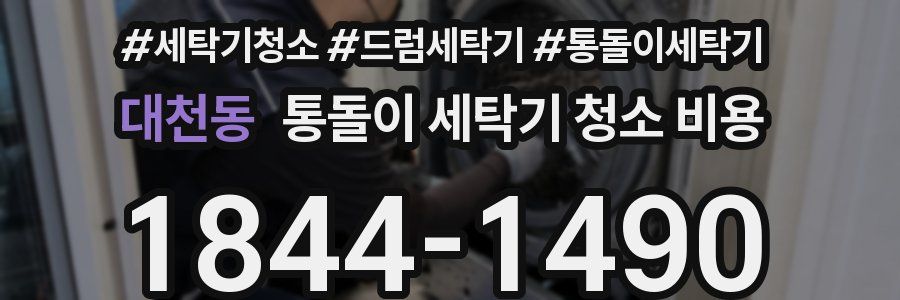 대천동 통돌이 세탁기 청소 비용