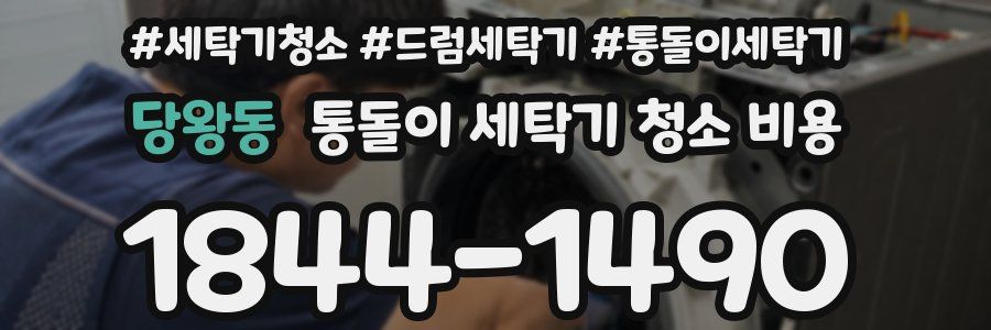 당왕동 통돌이 세탁기 청소 비용