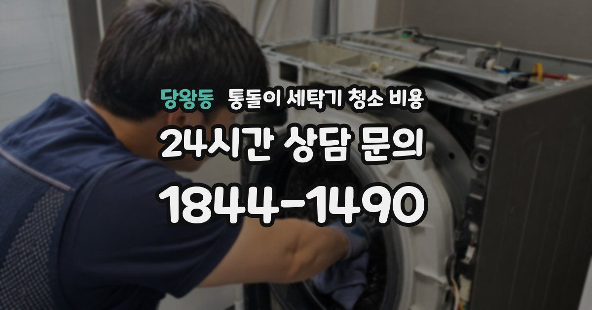당왕동 통돌이 세탁기 청소 비용