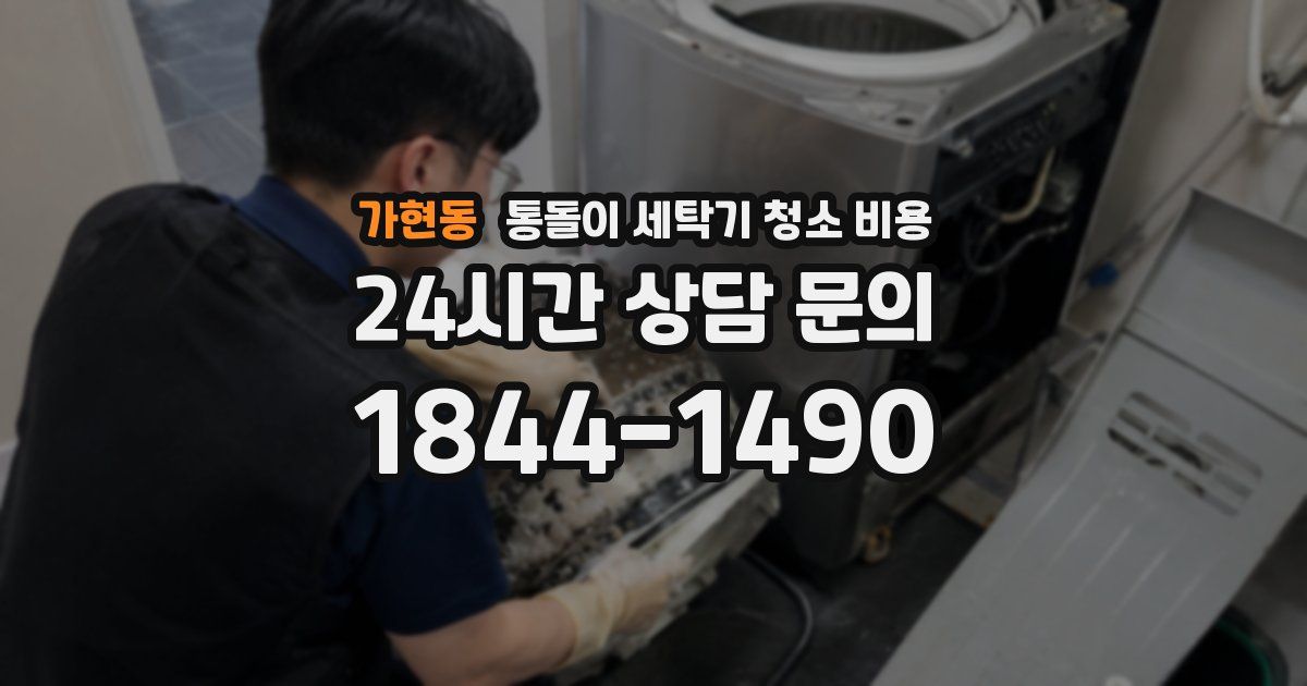 가현동 통돌이 세탁기 청소 비용