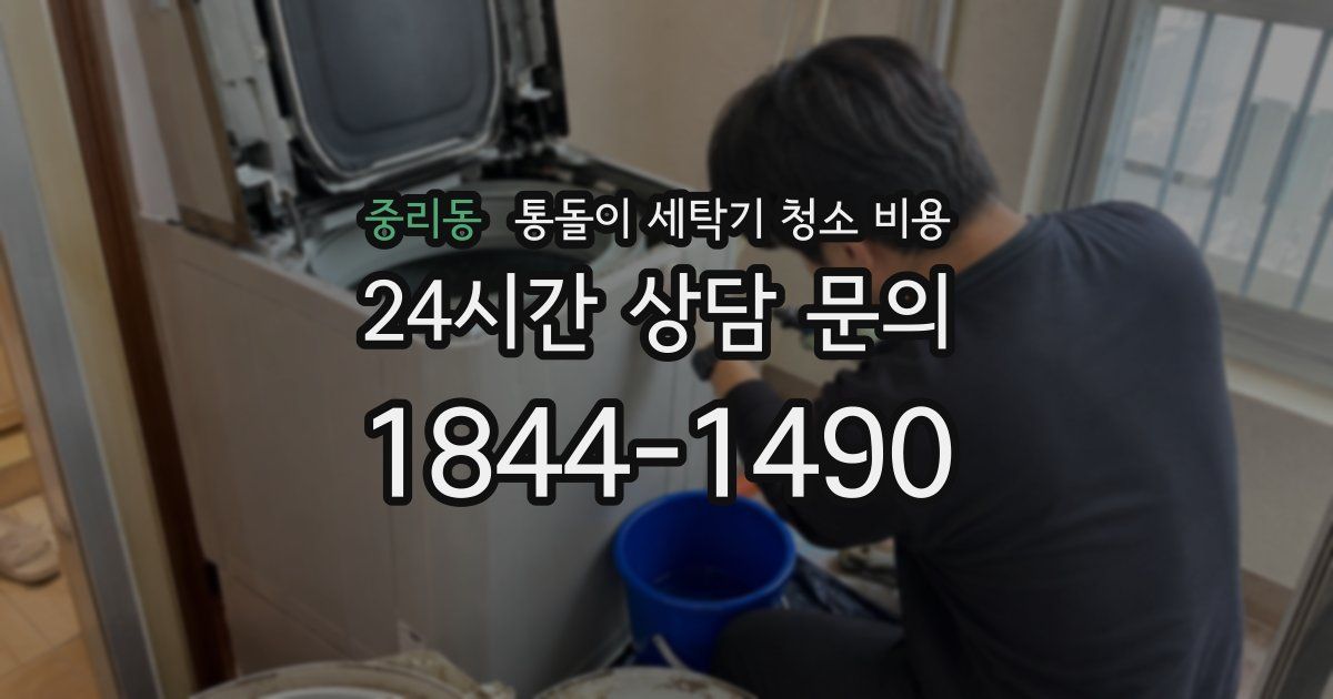 중리동 통돌이 세탁기 청소 비용