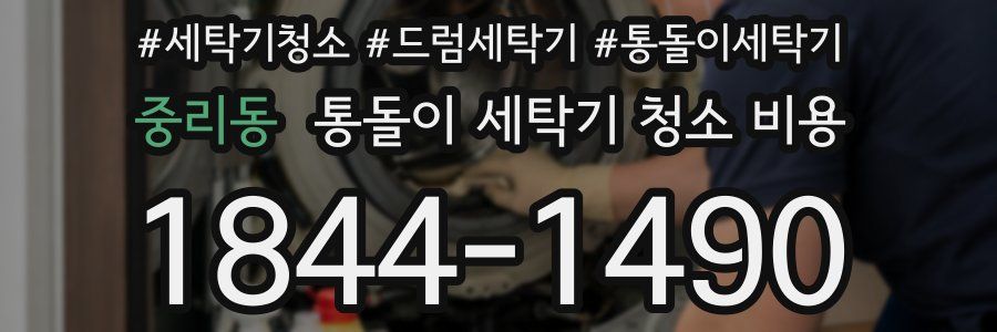 중리동 통돌이 세탁기 청소 비용