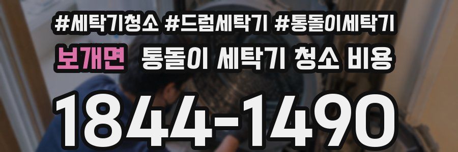 보개면 통돌이 세탁기 청소 비용