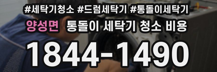 양성면 통돌이 세탁기 청소 비용