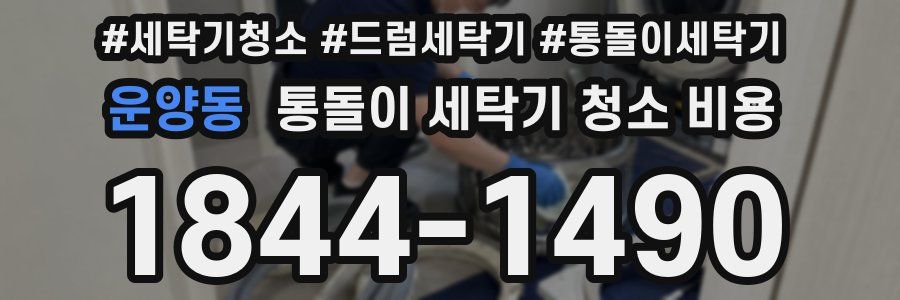 운양동 통돌이 세탁기 청소 비용