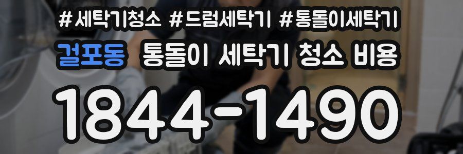 걸포동 통돌이 세탁기 청소 비용