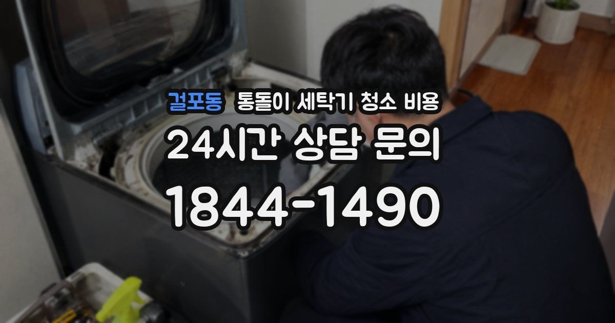 걸포동 통돌이 세탁기 청소 비용