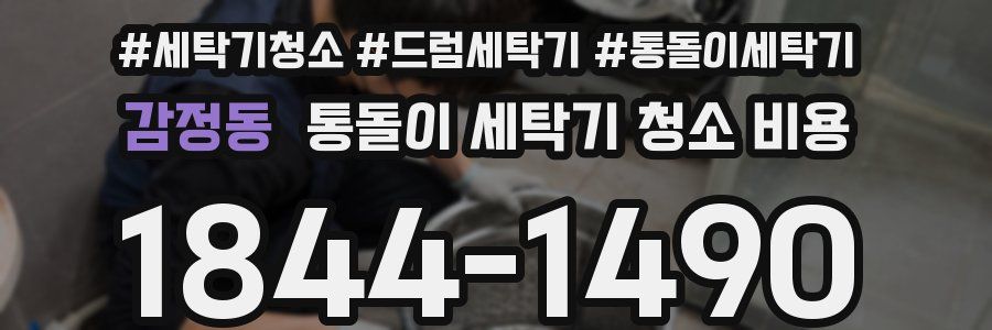 감정동 통돌이 세탁기 청소 비용