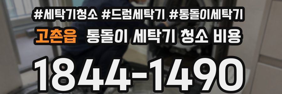 고촌읍 통돌이 세탁기 청소 비용
