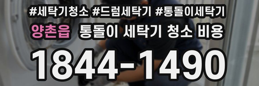 양촌읍 통돌이 세탁기 청소 비용