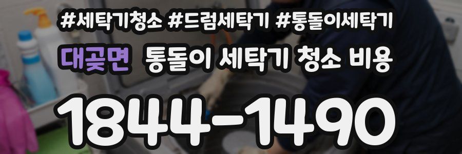대곶면 통돌이 세탁기 청소 비용