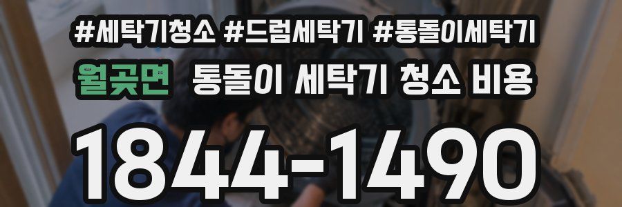 월곶면 통돌이 세탁기 청소 비용
