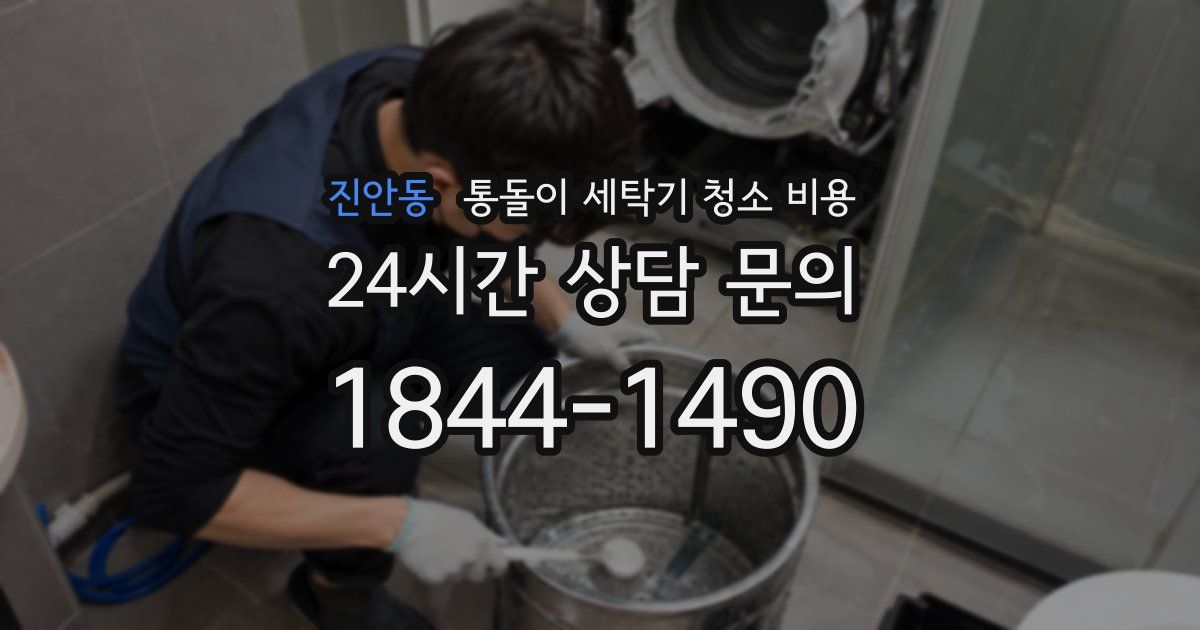 진안동 통돌이 세탁기 청소 비용