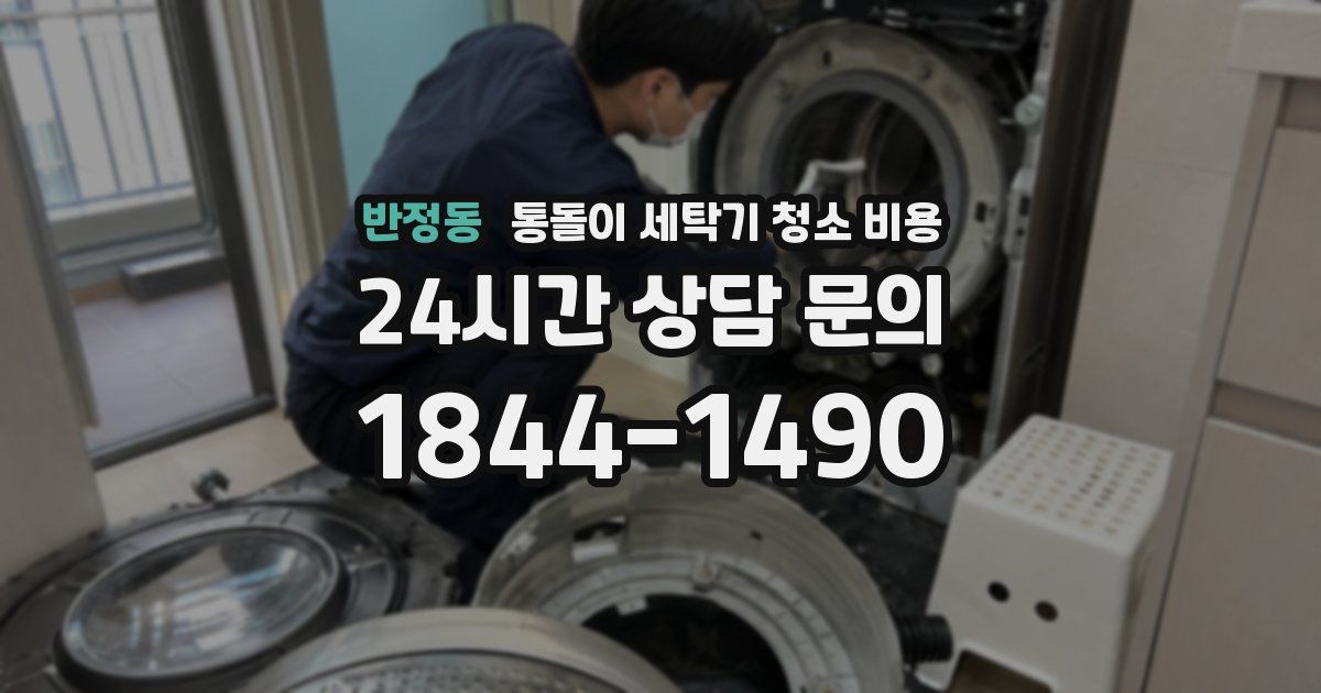 반정동 통돌이 세탁기 청소 비용