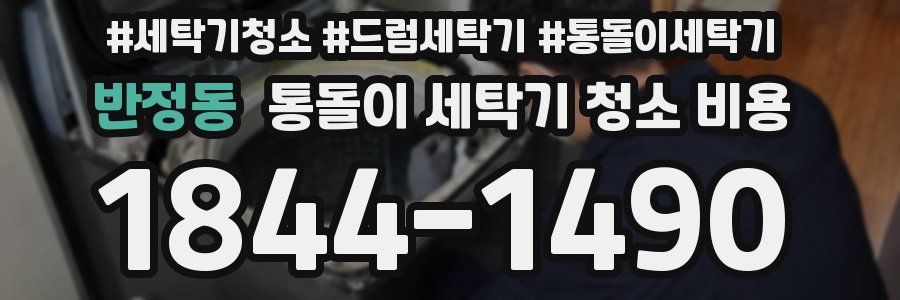 반정동 통돌이 세탁기 청소 비용