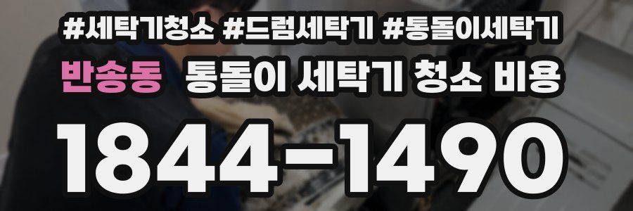반송동 통돌이 세탁기 청소 비용