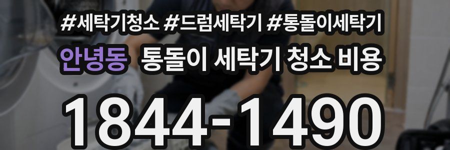 안녕동 통돌이 세탁기 청소 비용