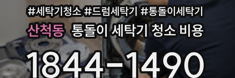 산척동 통돌이 세탁기 청소 비용