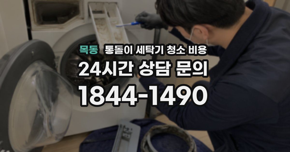 목동 통돌이 세탁기 청소 비용
